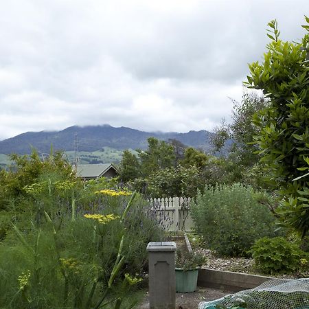 Highgate Bed And Breakfast & Garden Pirongia Extérieur photo